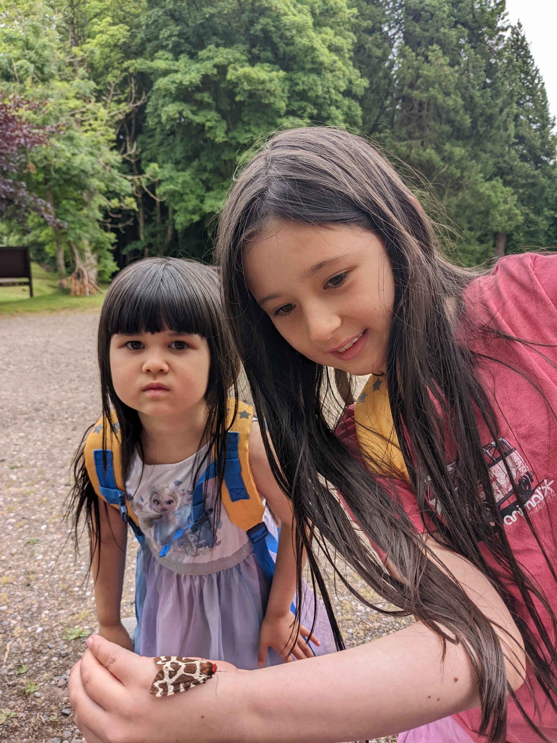 Junior Rangers