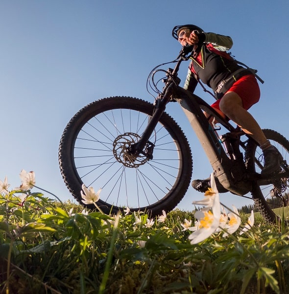 electric bikes