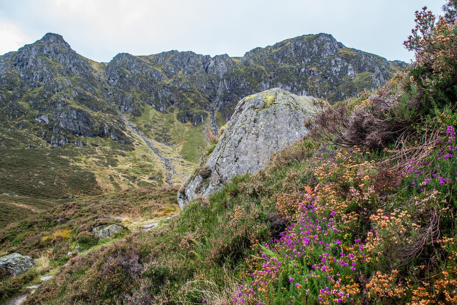 wee wander corrie fee
