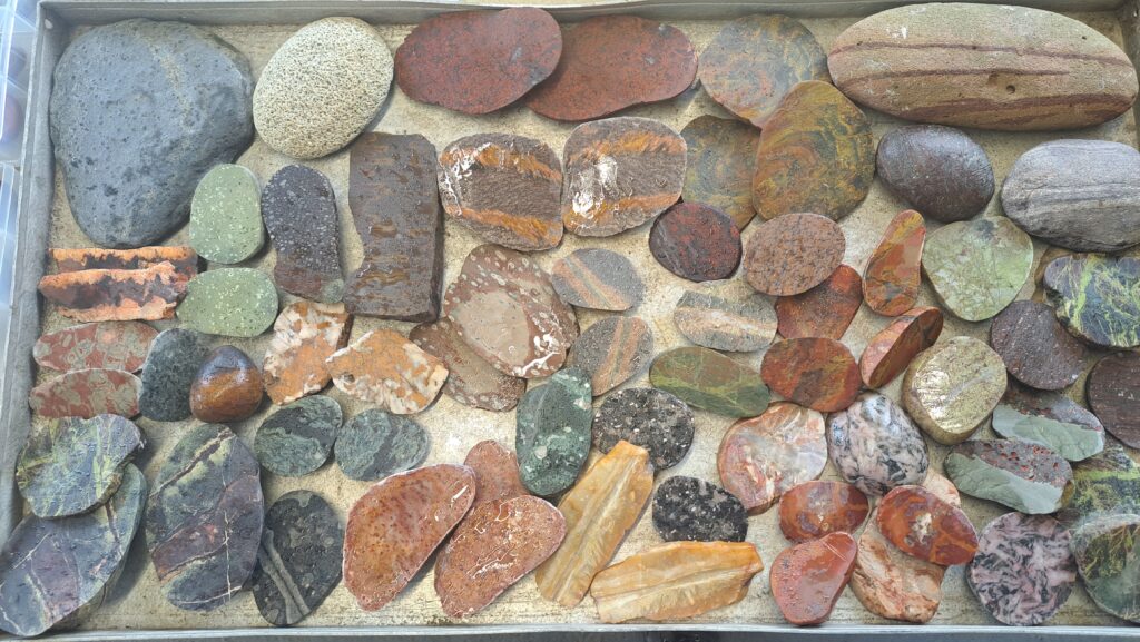 Rocks in the Courtyard