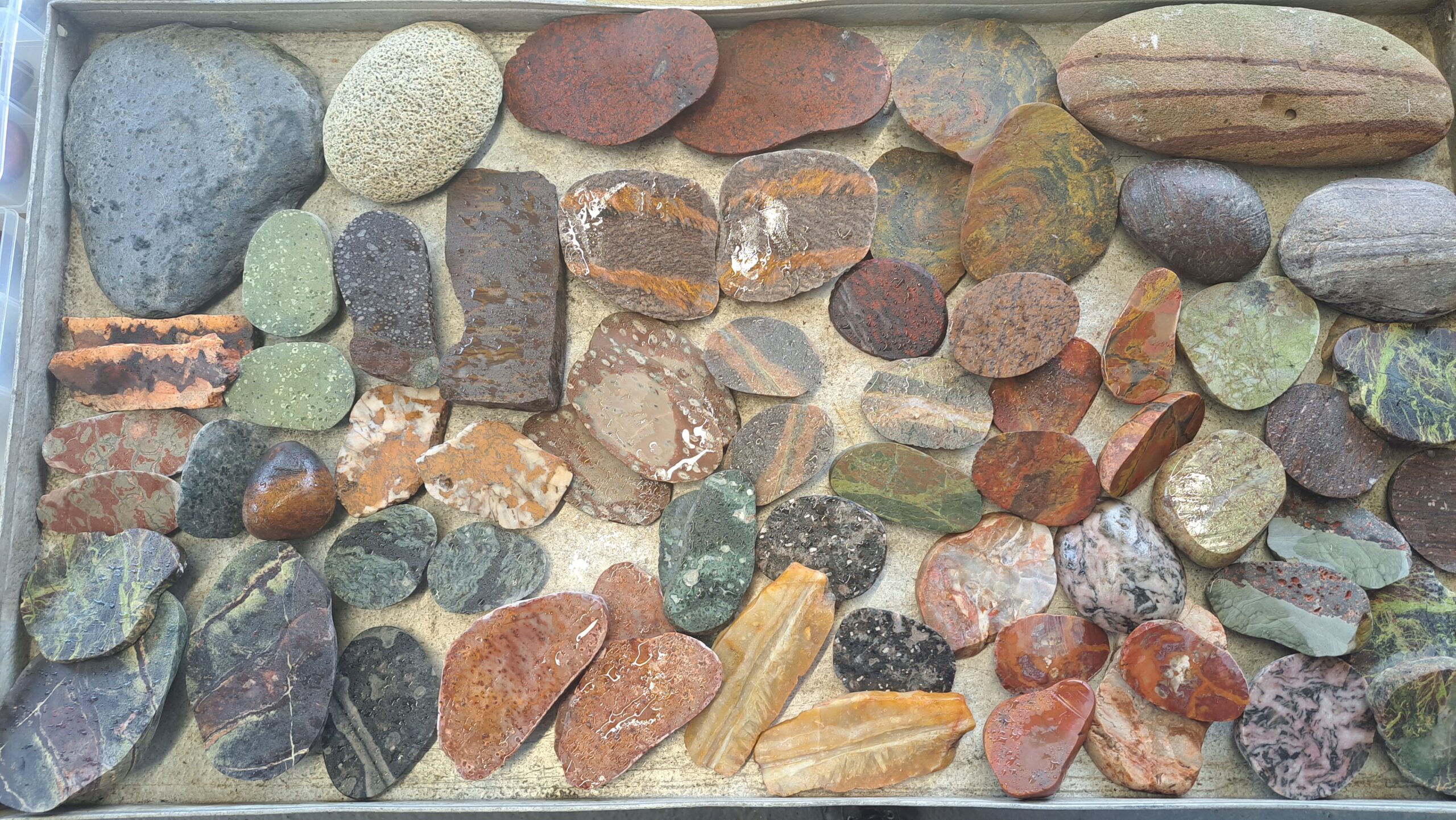 Rocks in the Courtyard