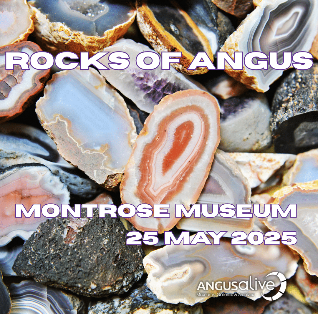 rocks of angus