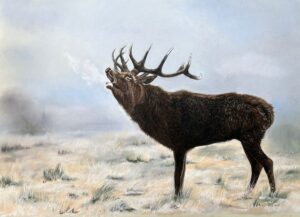 capturing wildlife art workshop