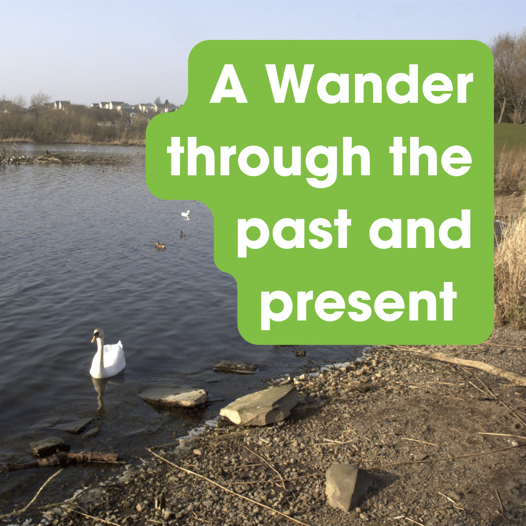 A Wander through the past and present at Forfar Loch