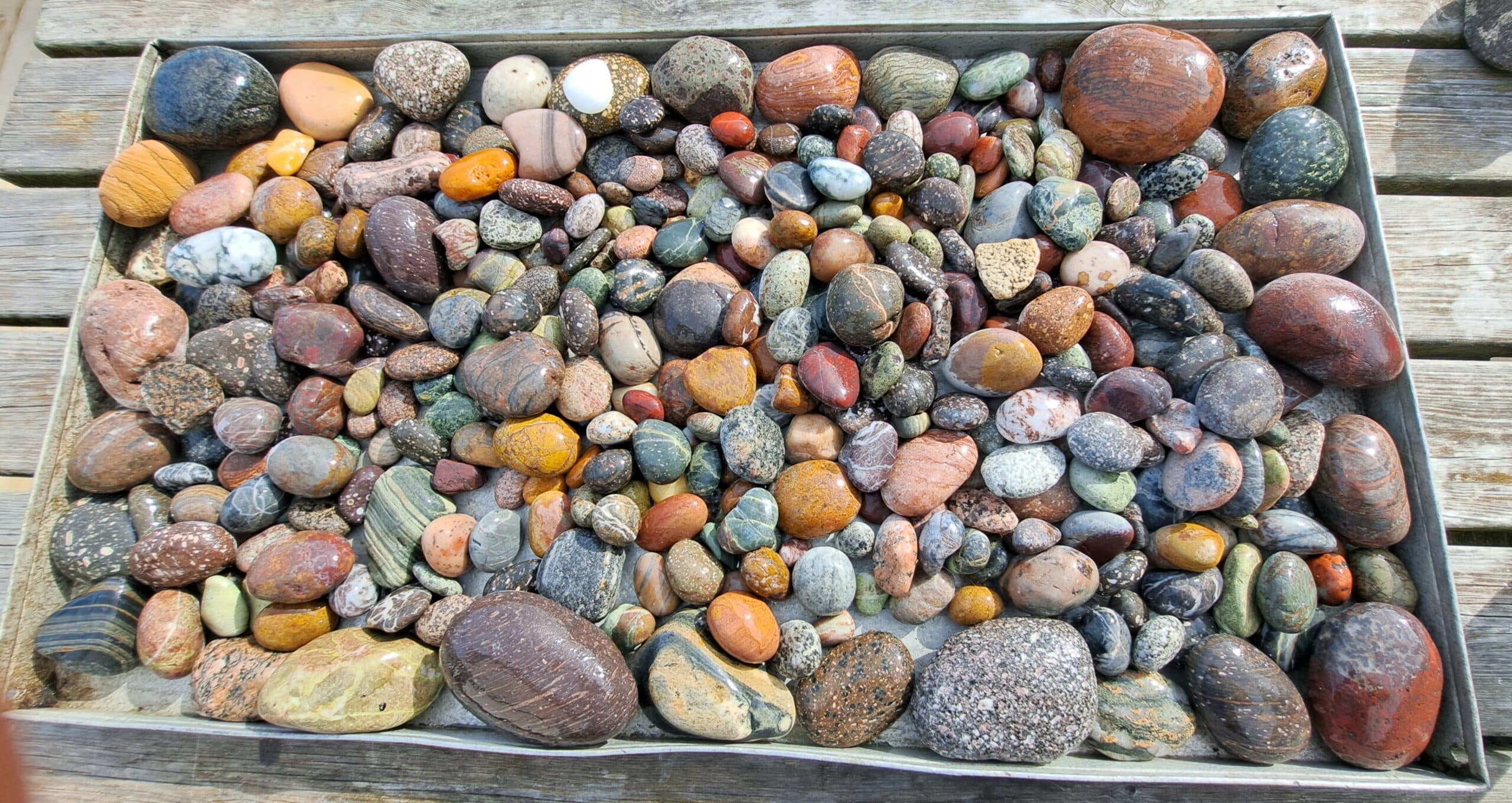 Rocks in the Courtyard