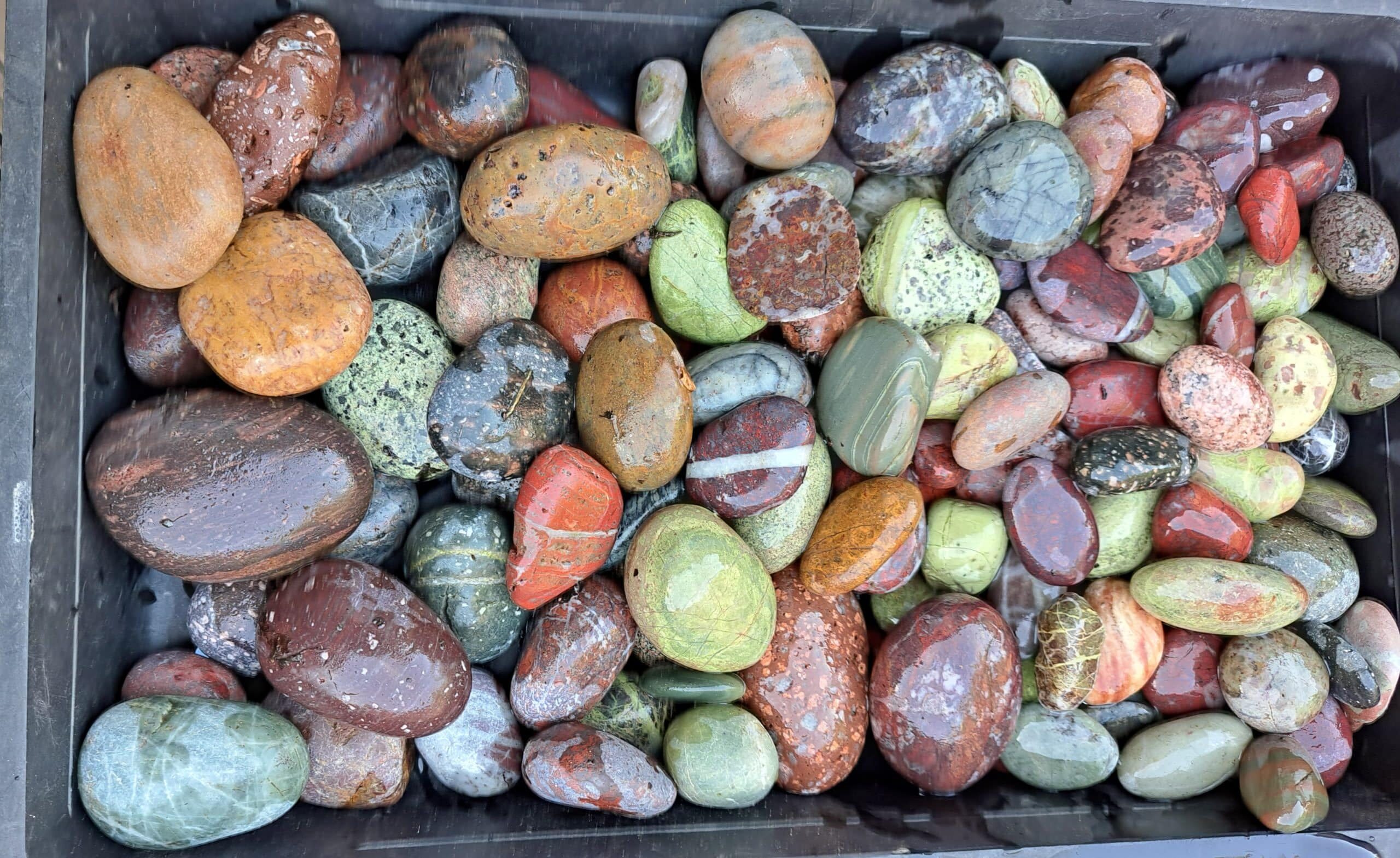 rocks in the gallery montrose