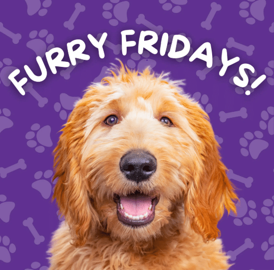 Furry Fridays