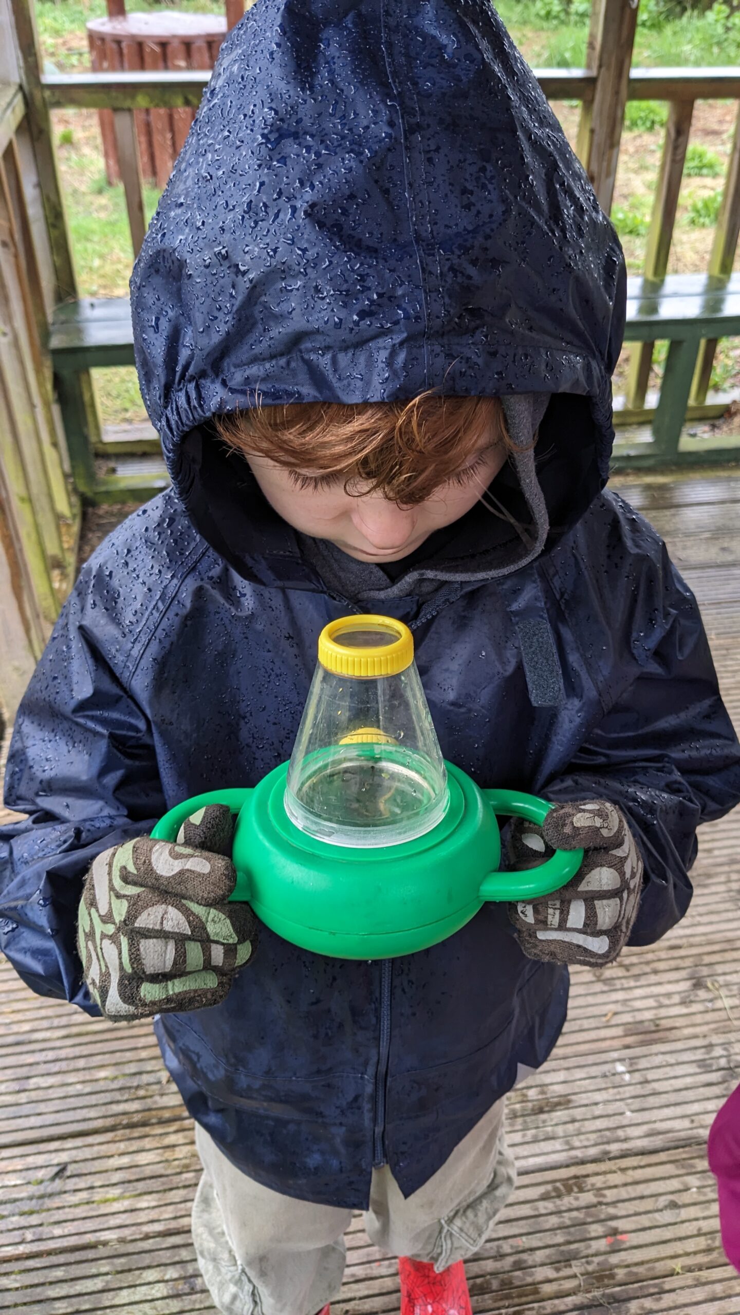 Pond dipping at Crombie Country Park