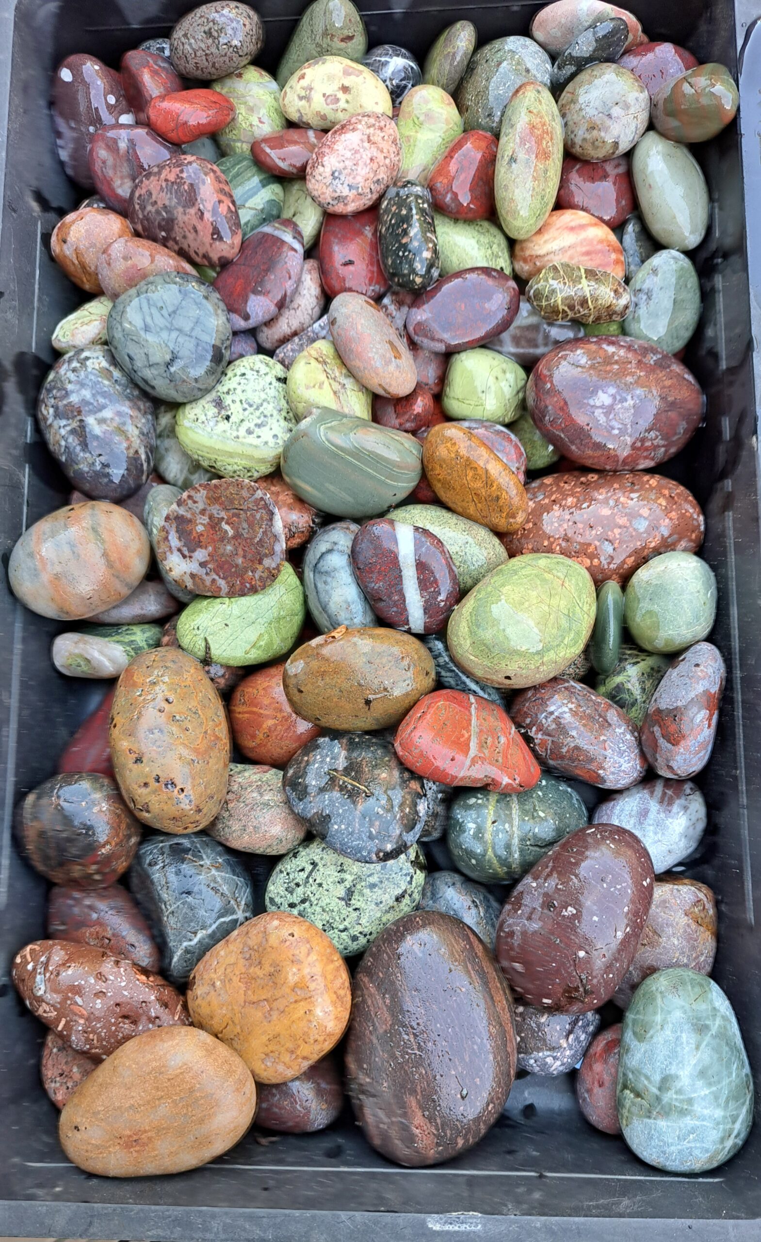 Rocks in the Gallery